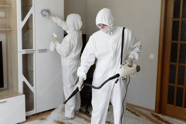Best Attic Mold Removal  in Anniston, AL