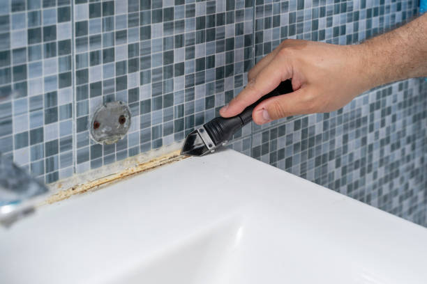 Best Mold Inspection  in Anniston, AL